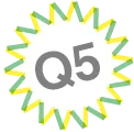 q5