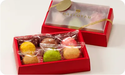 DALLOYAU PARIS:マカロン