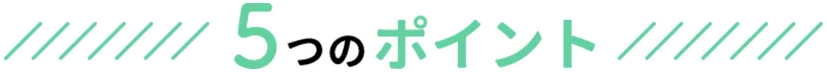 5つのポイント