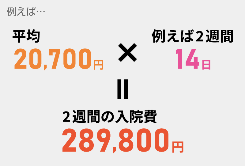 例えば、14日で289800円