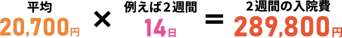 例えば、14日で289800円