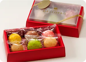 DALLOYAU PARIS：マカロン
