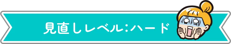 見直しレベル:ハード