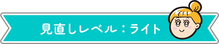 見直しレベル:ライト