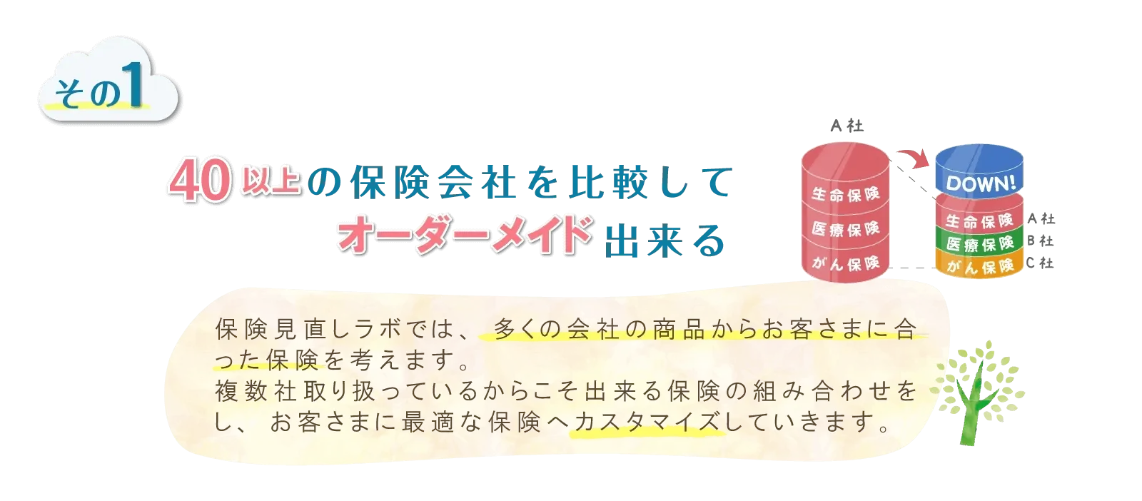 30社以上の保険会社を比較してオーダーメイド出来る。保険見直しラボでは、多くの会社の商品からお客さまに合った保険を考えます。複数社取り扱っているからこそ出来る保険の組み合わせをし、お客さまに最適な保険へカスタマイズしていきます。