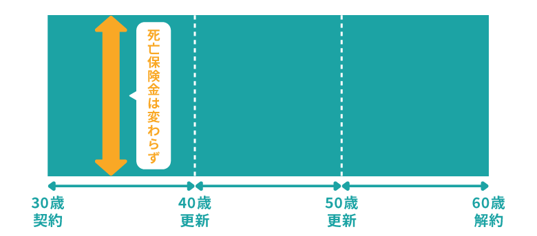 定期保険の解説